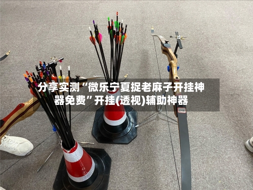 分享实测“微乐宁夏捉老麻子开挂神器免费”开挂(透视)辅助神器-第2张图片