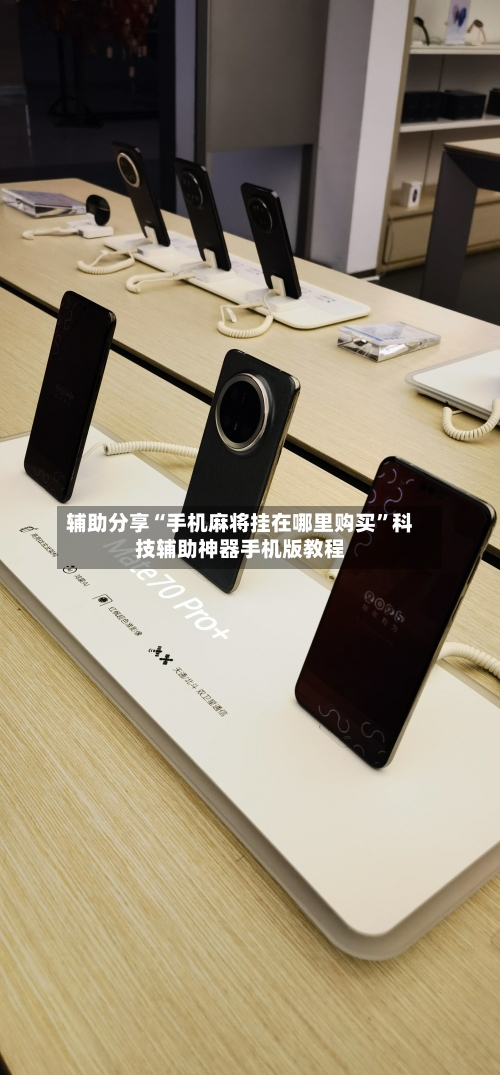 辅助分享“手机麻将挂在哪里购买”科技辅助神器手机版教程-第2张图片