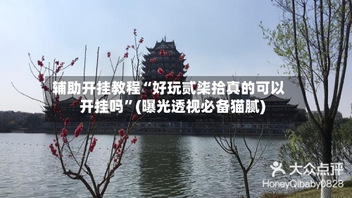 辅助开挂教程“好玩贰柒拾真的可以开挂吗	”(曝光透视必备猫腻)-第2张图片