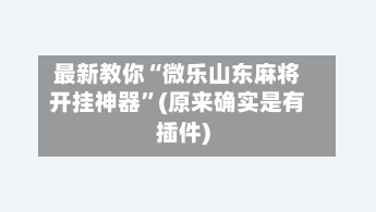 最新教你“微乐山东麻将开挂神器”(原来确实是有插件)-第2张图片