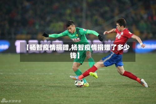 【杨智疫情捐赠,杨智疫情捐赠了多少钱】-第2张图片