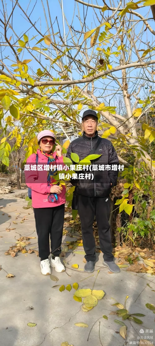 藁城区增村镇小果庄村(藁城市增村镇小果庄村)