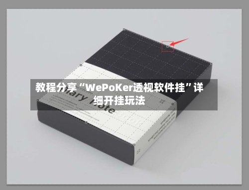 教程分享“WePoKer透视软件挂”详细开挂玩法-第3张图片