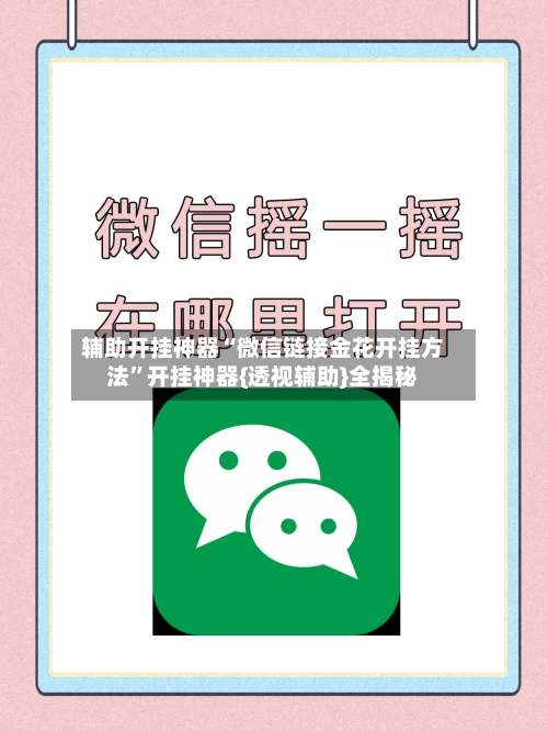辅助开挂神器“微信链接金花开挂方法”开挂神器{透视辅助}全揭秘-第3张图片