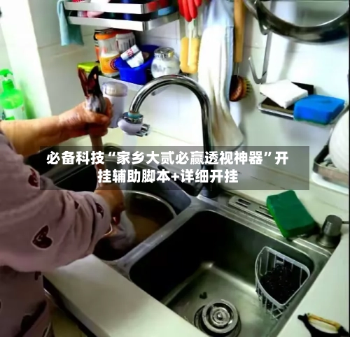 必备科技“家乡大贰必赢透视神器”开挂辅助脚本+详细开挂-第3张图片