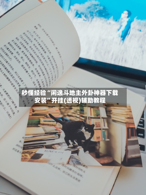 秒懂经验“闲逸斗地主外卦神器下载安装”开挂(透视)辅助教程-第3张图片