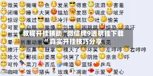 教程开挂辅助“微信牌9透明挂下载”真实开挂技巧分享