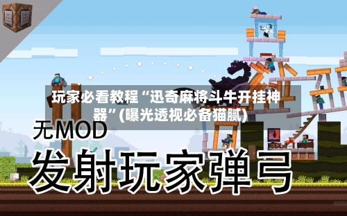 玩家必看教程“迅奇麻将斗牛开挂神器	”(曝光透视必备猫腻)-第2张图片