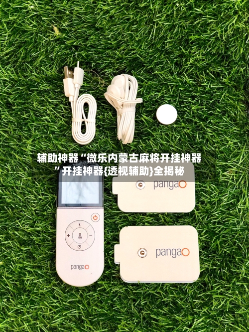 辅助神器“微乐内蒙古麻将开挂神器”开挂神器{透视辅助}全揭秘-第3张图片