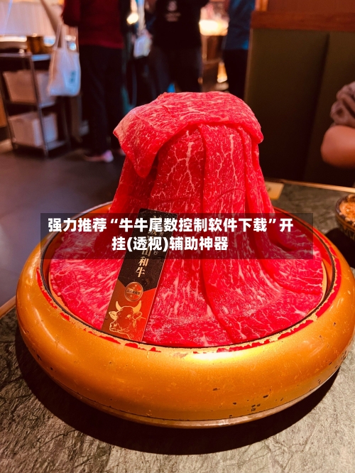 强力推荐“牛牛尾数控制软件下载”开挂(透视)辅助神器-第3张图片