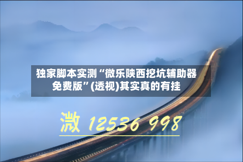 独家脚本实测“微乐陕西挖坑辅助器免费版”(透视)其实真的有挂-第2张图片