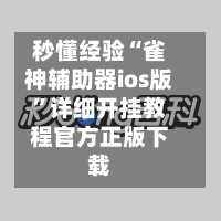秒懂经验“雀神辅助器ios版”详细开挂教程官方正版下载-第3张图片