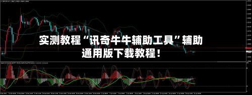 实测教程“讯奇牛牛辅助工具	”辅助通用版下载教程！-第3张图片