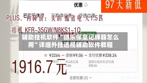 辅助挂机软件“微乐保皇记牌器怎么用	”详细外挂透视辅助软件教程-第3张图片