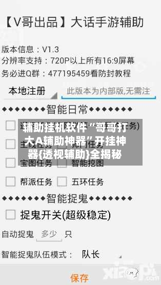 辅助挂机软件“哥哥打大A辅助神器	”开挂神器{透视辅助}全揭秘-第2张图片