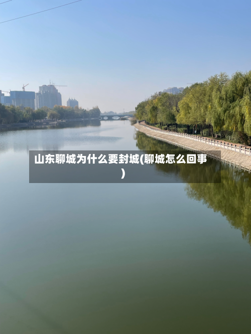 山东聊城为什么要封城(聊城怎么回事)