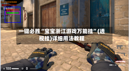 一键必胜“宝宝浙江游戏万能挂”(透视挂)详细用法教程-第3张图片