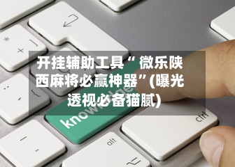 开挂辅助工具“ 微乐陕西麻将必赢神器”(曝光透视必备猫腻)-第3张图片