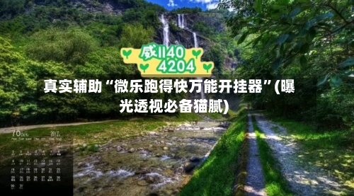 真实辅助“微乐跑得快万能开挂器”(曝光透视必备猫腻)