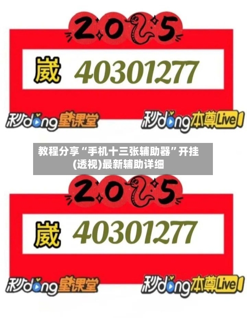 教程分享“手机十三张辅助器	”开挂(透视)最新辅助详细-第2张图片
