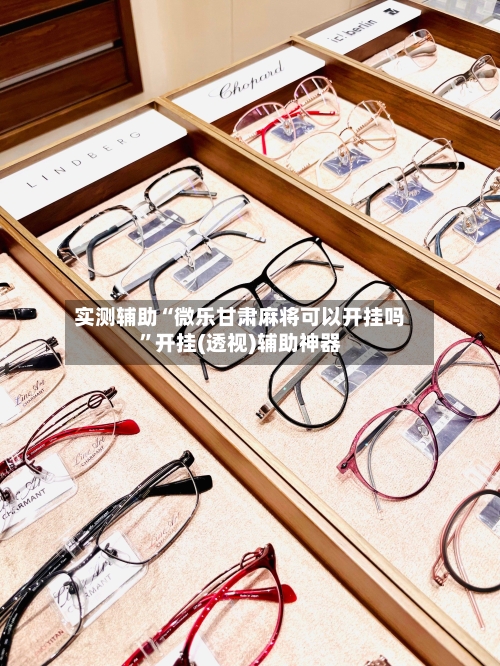 实测辅助“微乐甘肃麻将可以开挂吗”开挂(透视)辅助神器-第2张图片