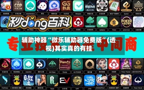 辅助神器“微乐辅助器免费版”(透视)其实真的有挂-第2张图片