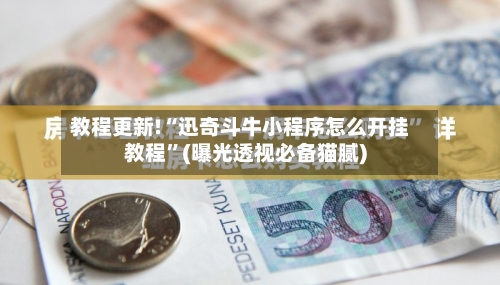 教程更新!“迅奇斗牛小程序怎么开挂教程”(曝光透视必备猫腻)-第3张图片