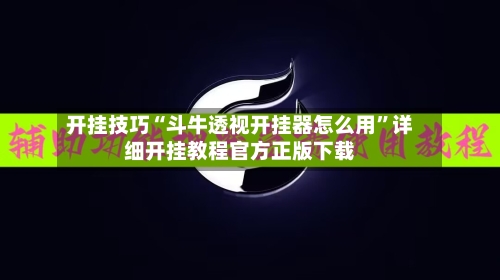 开挂技巧“斗牛透视开挂器怎么用”详细开挂教程官方正版下载-第2张图片