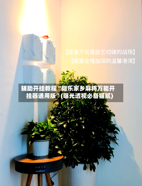 辅助开挂教程“微乐家乡麻将万能开挂器通用版”(曝光透视必备猫腻)-第2张图片