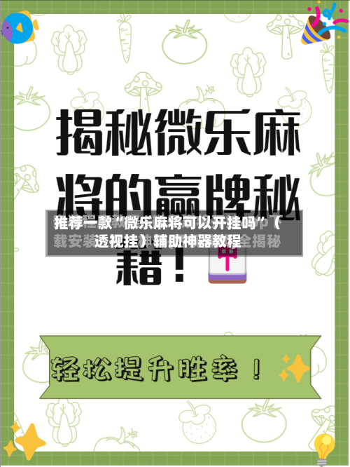 推荐一款“微乐麻将可以开挂吗”（透视挂）辅助神器教程