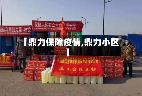 【鼎力保障疫情,鼎力小区】-第2张图片