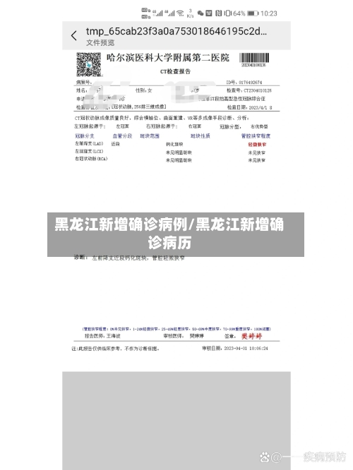 黑龙江新增确诊病例/黑龙江新增确诊病历