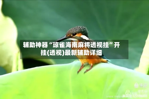 辅助神器“琼雀海南麻将透视挂”开挂(透视)最新辅助详细-第3张图片