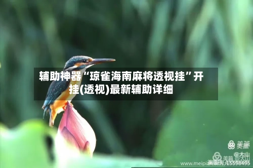 辅助神器“琼雀海南麻将透视挂”开挂(透视)最新辅助详细