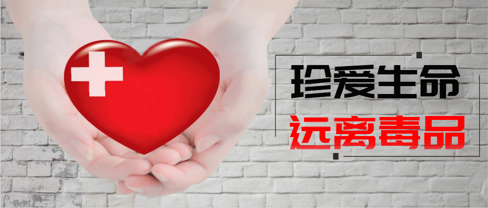 【大连最新疫情最新通报今天情况,大连最新疫情动态】