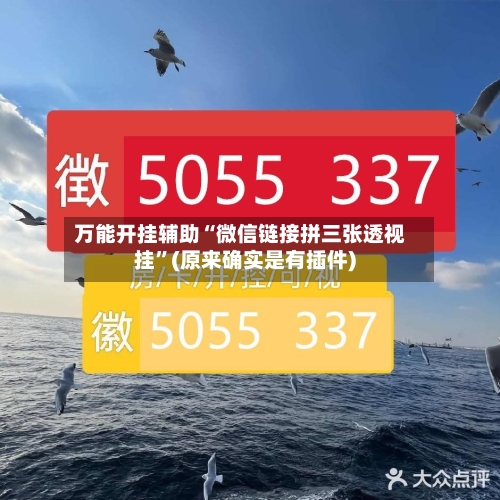 万能开挂辅助“微信链接拼三张透视挂”(原来确实是有插件)-第2张图片