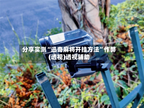 分享实测“迅奇麻将开挂方法	”作弊(透视)透视辅助-第3张图片