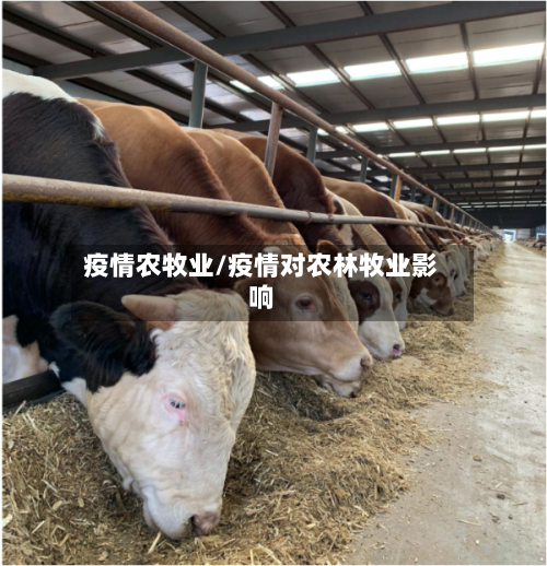 疫情农牧业/疫情对农林牧业影响-第2张图片