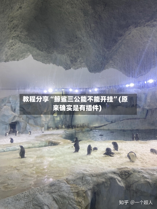 教程分享“鲸鲨三公能不能开挂”(原来确实是有插件)-第2张图片