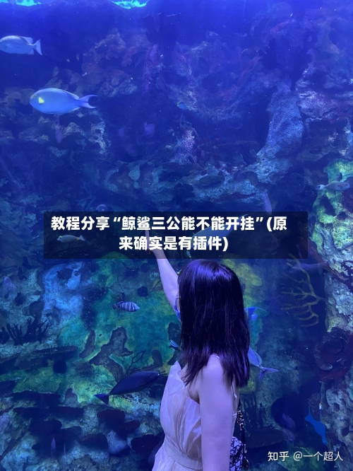 教程分享“鲸鲨三公能不能开挂”(原来确实是有插件)