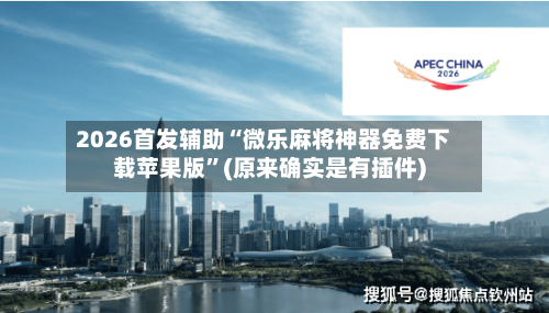 2026首发辅助“微乐麻将神器免费下载苹果版”(原来确实是有插件)