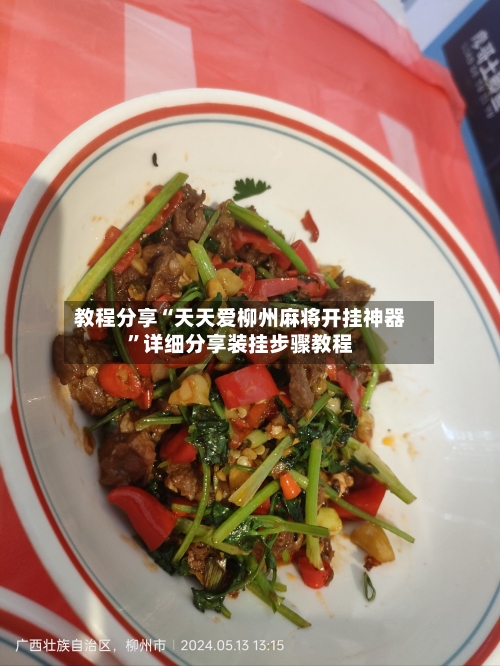 教程分享“天天爱柳州麻将开挂神器”详细分享装挂步骤教程-第2张图片