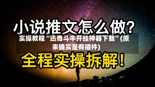 实操教程“迅奇斗牛开挂神器下载”(原来确实是有插件)-第2张图片