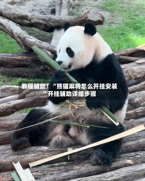 教程辅助！“熊猫麻将怎么开挂安装	”开挂辅助详细步骤-第2张图片