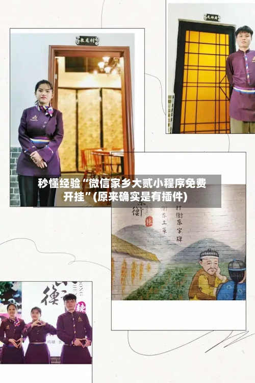 秒懂经验“微信家乡大贰小程序免费开挂”(原来确实是有插件)-第2张图片