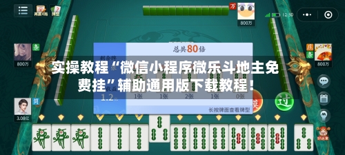 实操教程“微信小程序微乐斗地主免费挂”辅助通用版下载教程！-第2张图片