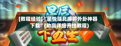 [教程经验]“星悦湖北麻将外卦神器下载	”(助赢详细开挂教程)-第2张图片