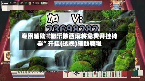 专用辅助“微乐陕西麻将免费开挂神器	”开挂(透视)辅助教程-第2张图片