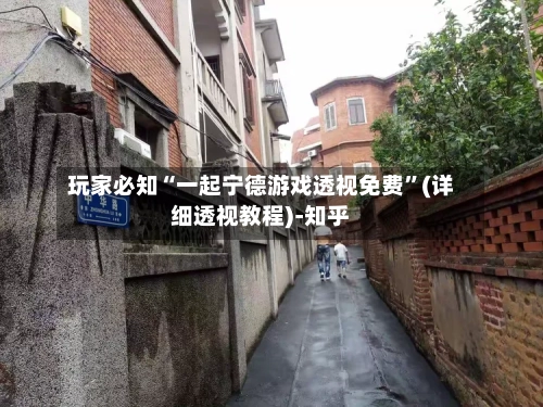 玩家必知“一起宁德游戏透视免费”(详细透视教程)-知乎