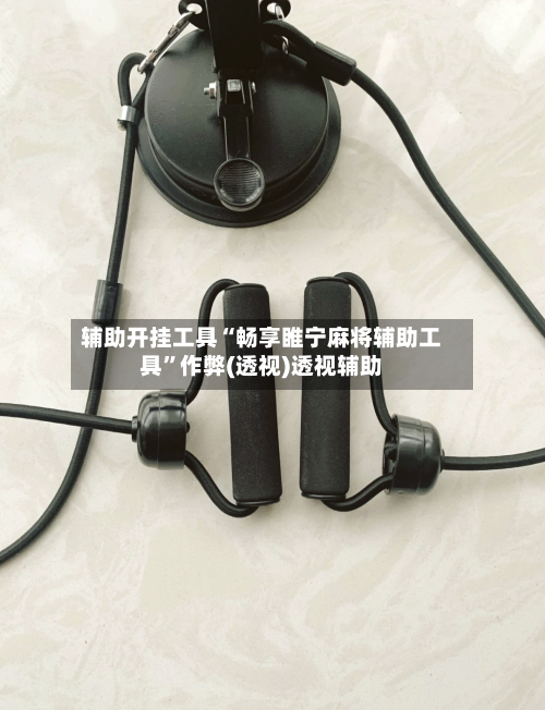 辅助开挂工具“畅享睢宁麻将辅助工具”作弊(透视)透视辅助-第2张图片